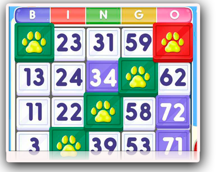 Bingo Pets